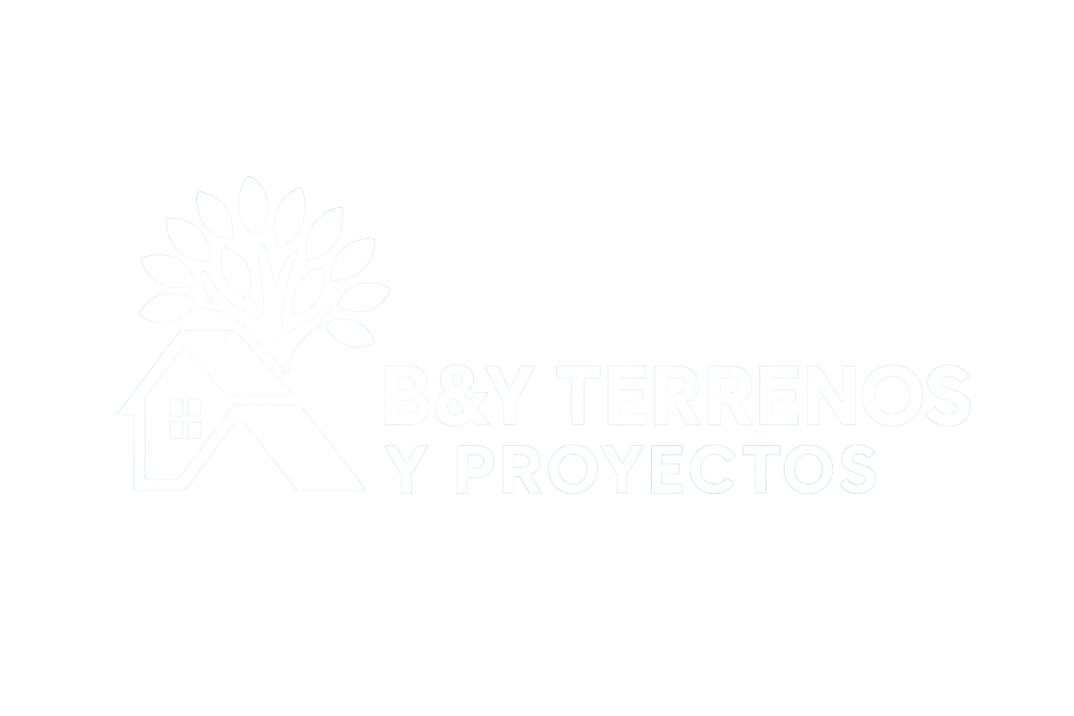 Logo B&Y